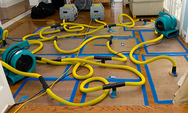 Professional Basement Flood Cleanup technician working in Urbandale, IA
